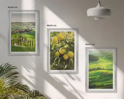 Talijanski citrusi i brda triptih u okviru