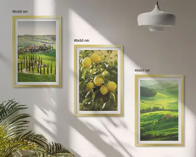 Talijanski citrusi i brda triptih u okviru