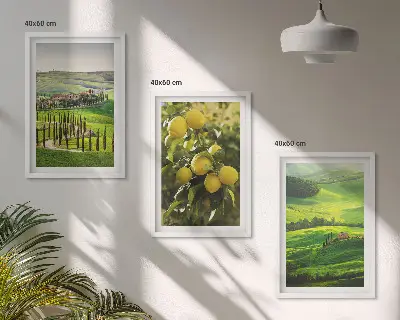 Talijanski citrusi i brda triptih u okviru