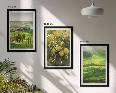 Talijanski citrusi i brda triptih u okviru