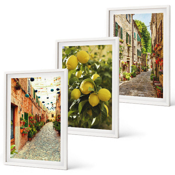 Set 3 slike u okviru Ulice s cvjetovima limuna u pozadini