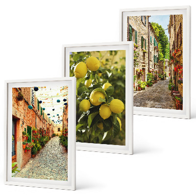 Set 3 slike u okviru Ulice s cvjetovima limuna u pozadini