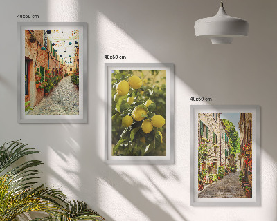 Set 3 slike u okviru Ulice s cvjetovima limuna u pozadini