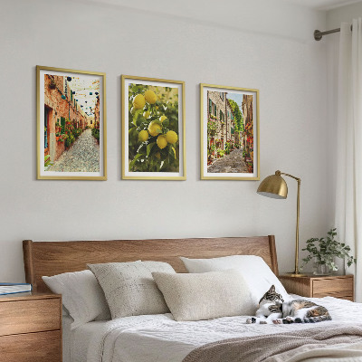 Set 3 slike u okviru Ulice s cvjetovima limuna u pozadini