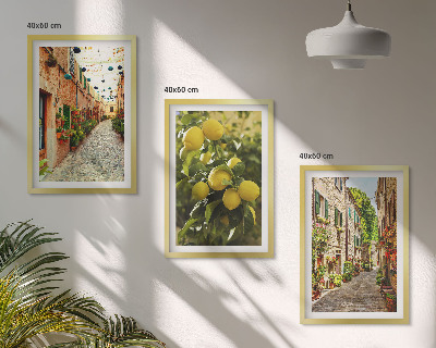 Set 3 slike u okviru Ulice s cvjetovima limuna u pozadini