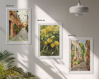 Set 3 slike u okviru Ulice s cvjetovima limuna u pozadini