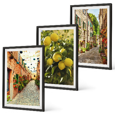 Set 3 slike u okviru Ulice s cvjetovima limuna u pozadini