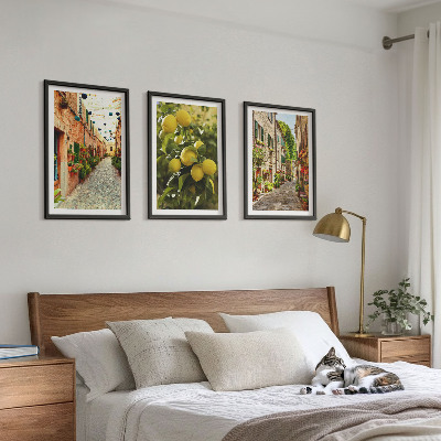 Set 3 slike u okviru Ulice s cvjetovima limuna u pozadini