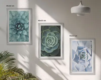 Set 3 slike sa motivom sukulentnih biljaka zelene i tirkizne boje u okviru