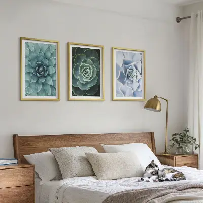 Set 3 slike sa motivom sukulentnih biljaka zelene i tirkizne boje u okviru