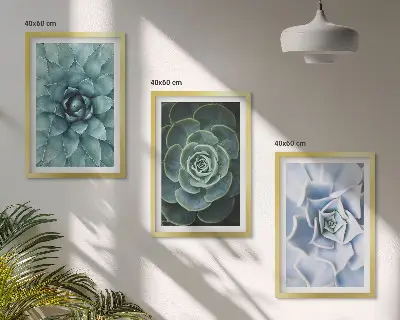 Set 3 slike sa motivom sukulentnih biljaka zelene i tirkizne boje u okviru