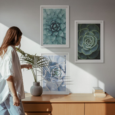 Set 3 slike u okviru Sukulentne biljke zelene tirkizne boje