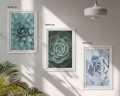 Set 3 slike sa motivom sukulentnih biljaka zelene i tirkizne boje u okviru