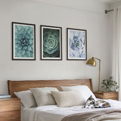 Set 3 slike u okviru Sukulentne biljke zelene tirkizne boje