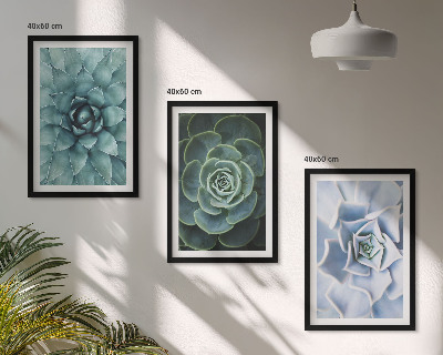 Set 3 slike u okviru Sukulentne biljke zelene tirkizne boje