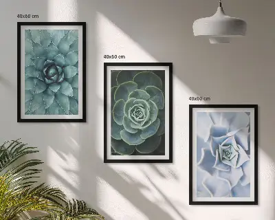 Set 3 slike sa motivom sukulentnih biljaka zelene i tirkizne boje u okviru