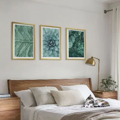 Krupni plan lišća biljke triptih u okviru