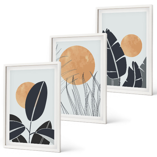 Set 3 slike u okviru Biljni uzorci velikih sunaca minimalistički