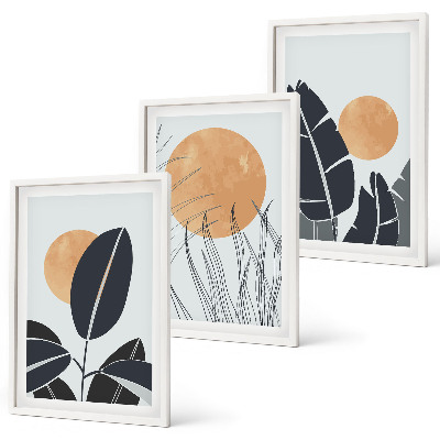 Set 3 slike u okviru Biljni uzorci velikih sunaca minimalistički