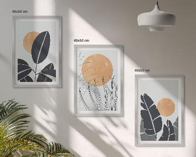 Set 3 slike u okviru Biljni uzorci velikih sunaca minimalistički