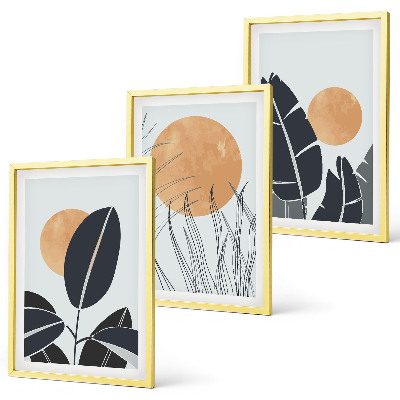 Set 3 slike u okviru Biljni uzorci velikih sunaca minimalistički