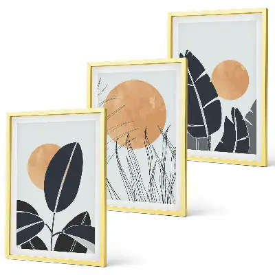 Set 3 slike u okviru minimalistički biljni uzorci velikih sunaca