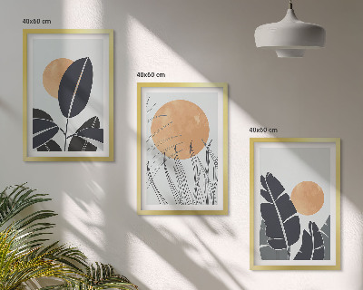 Set 3 slike u okviru Biljni uzorci velikih sunaca minimalistički