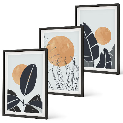 Set 3 slike u okviru Biljni uzorci velikih sunaca minimalistički