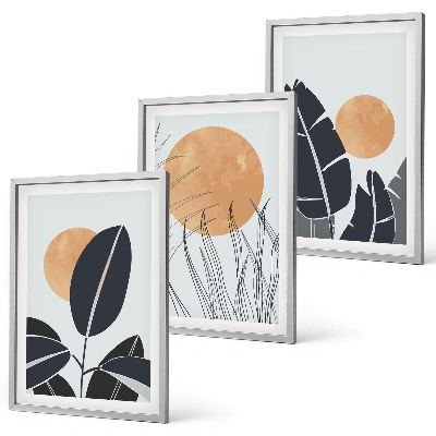 Set 3 slike u okviru Biljni uzorci velikih sunaca minimalistički