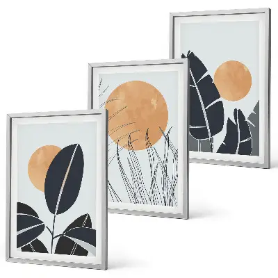Set 3 slike u okviru minimalistički biljni uzorci velikih sunaca