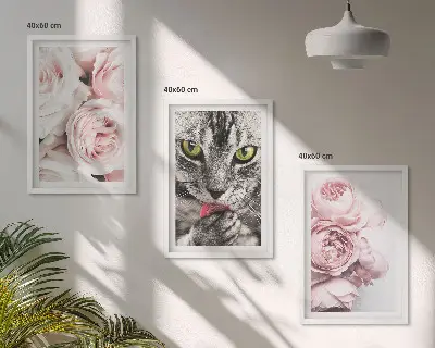 Mačka u ružičastom cvijeću set 3 slike u okviru