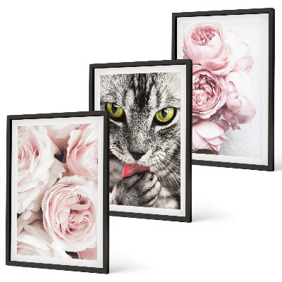 Set 3 slike u okviru Mačka u ružičastom cvijeću