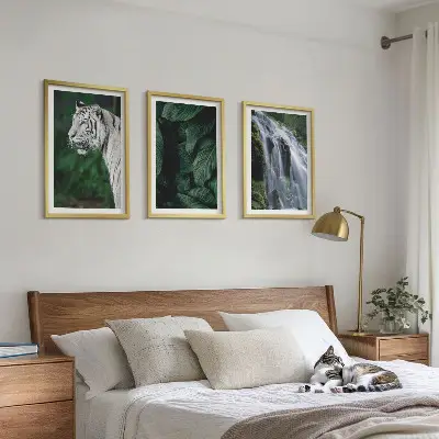 Slika Vodopad s bijelim tigrom set od 3 slike u okviru