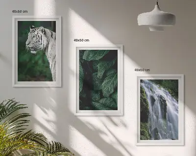 Slika Vodopad s bijelim tigrom set od 3 slike u okviru