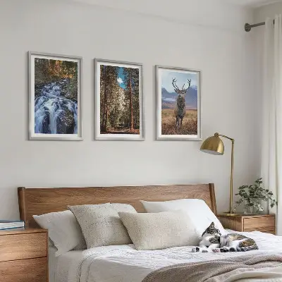 Zidna galerija s motivom vodopada, šume, planine i jelena u prirodi