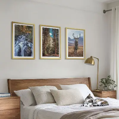 Zidna galerija s motivom vodopada, šume, planine i jelena u prirodi