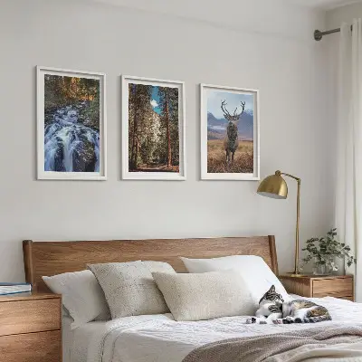Zidna galerija s motivom vodopada, šume, planine i jelena u prirodi