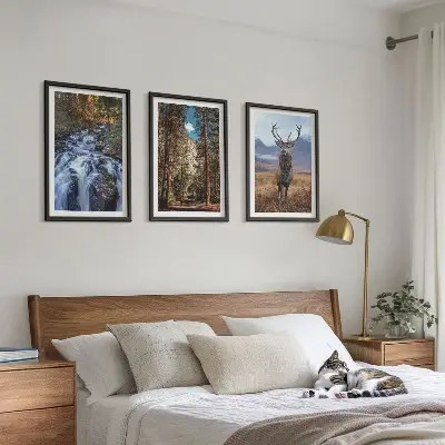 Zidna galerija s motivom vodopada, šume, planine i jelena u prirodi