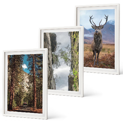 Set 3 slike u okviru Cesta šuma planine jelen priroda