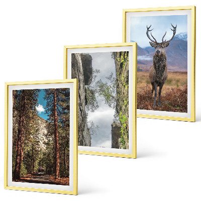 Set 3 slike u okviru Cesta šuma planine jelen priroda