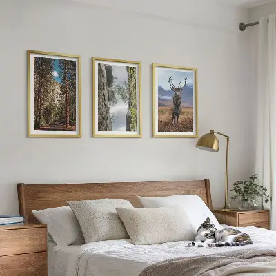 Set od 3 slike u okviru motivi ceste, šume, planine i jelena u prirodi