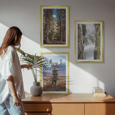 Set 3 slike u okviru Cesta šuma planine jelen priroda
