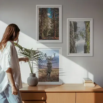 Set od 3 slike u okviru motivi ceste, šume, planine i jelena u prirodi