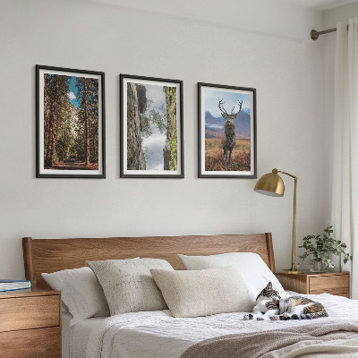 Set 3 slike u okviru Cesta šuma planine jelen priroda