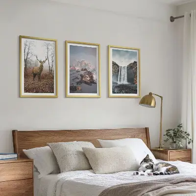 Divlji planinski krajolici set od 3 slike u okviru