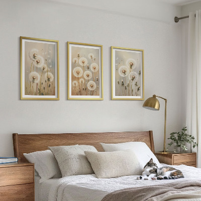 Set 3 slike u okviru Bijeli maslačci na svijetloj pozadini