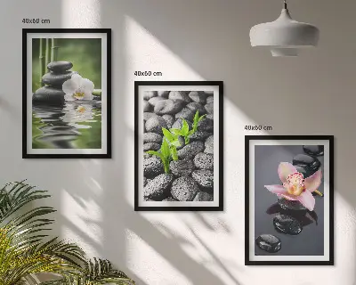 Mirna zen kompozicija cvijeća i vode triptih u okviru