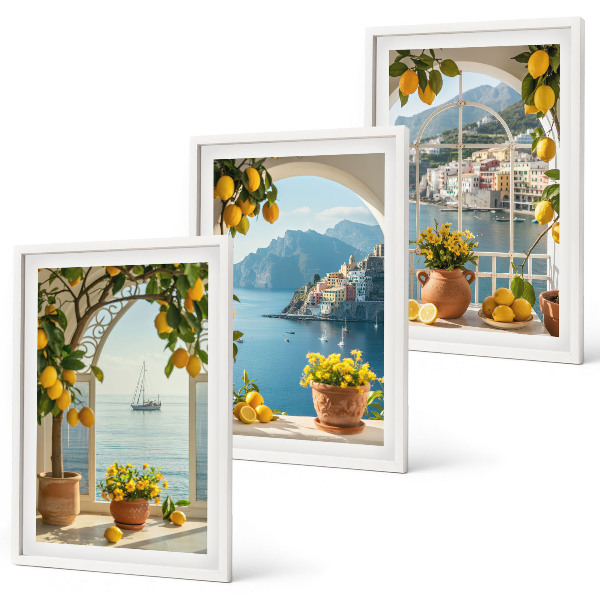 Set 3 slike u okviru Cvijeće limuna u Seatownu