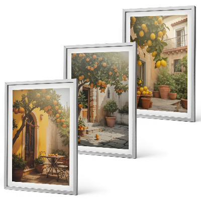 Set 3 slike u okviru Posude za citruse na sunčanoj terasi