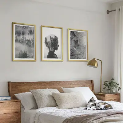 Set od 3 slike u okviru šuma s motivom maglovitog drveća i maslačka